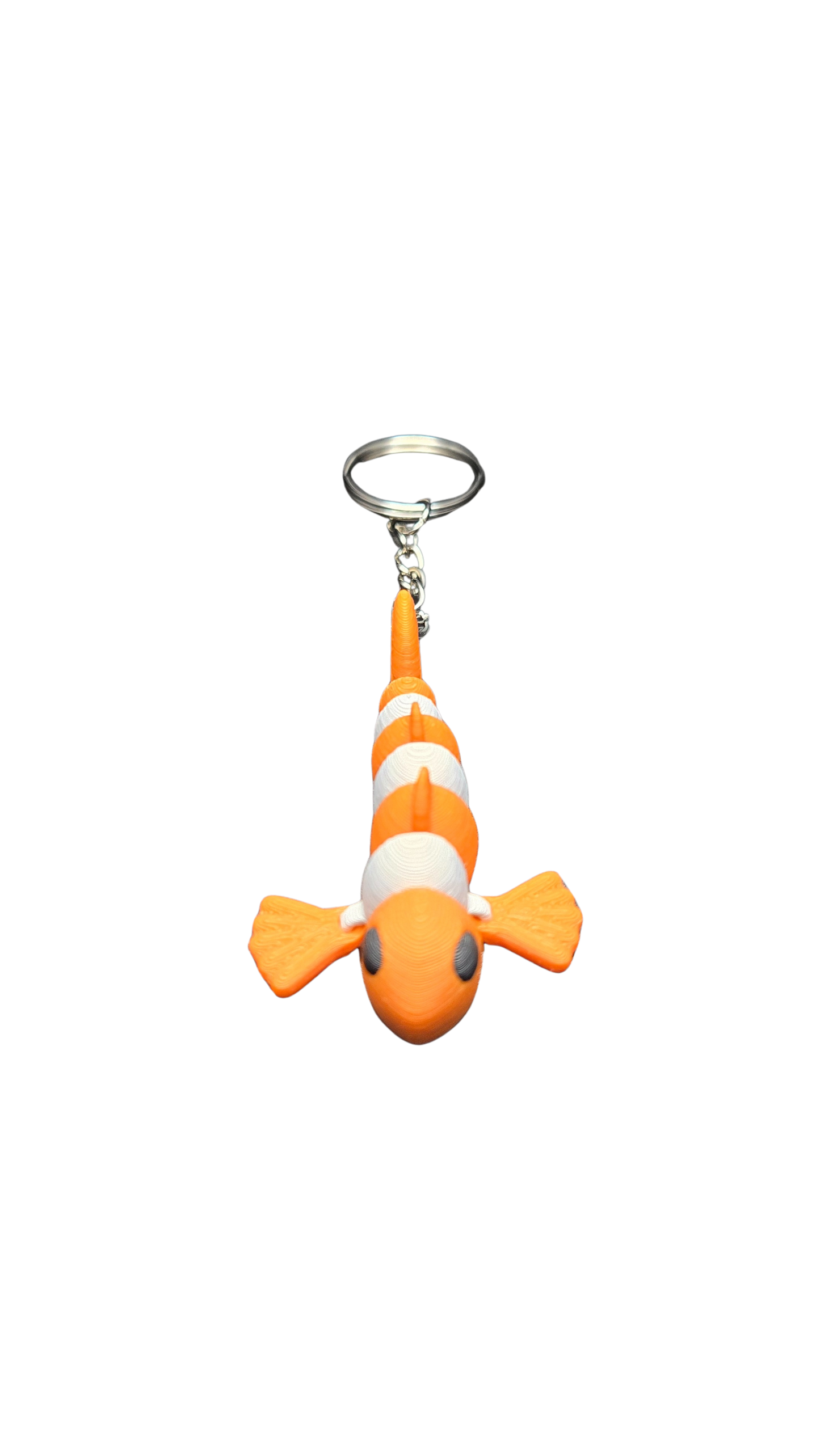 Key Critters - Clownfish